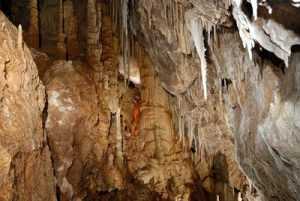 Read more about the article Το ωραιότερο σπήλαιο της Αττικής βρίσκεται στο Χαϊδάρι! Δείτε ντοκιμαντέρ και φωτογραφίες